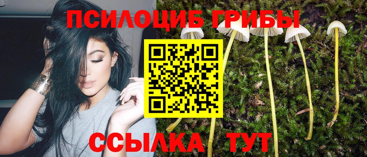 Псилоцибиновые грибы MAGIC MUSHROOMS  Галлюциногенные грибы Cubensis  Вход с VPN  Десногорск 